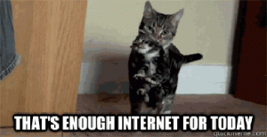 Cat Gif 3