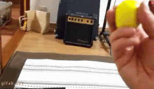 Cat Gif 10