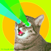 Cat Gif 30