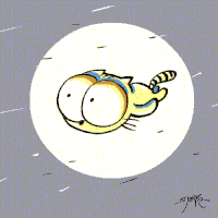 Cat Gif 29