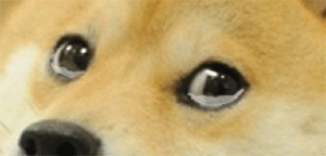 crying Gif 1 2