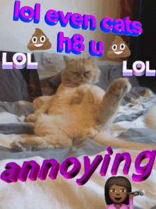 Cat Gif 5