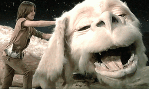 Pet GIF
