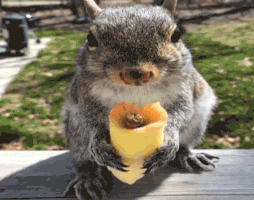 Eating Gif 10