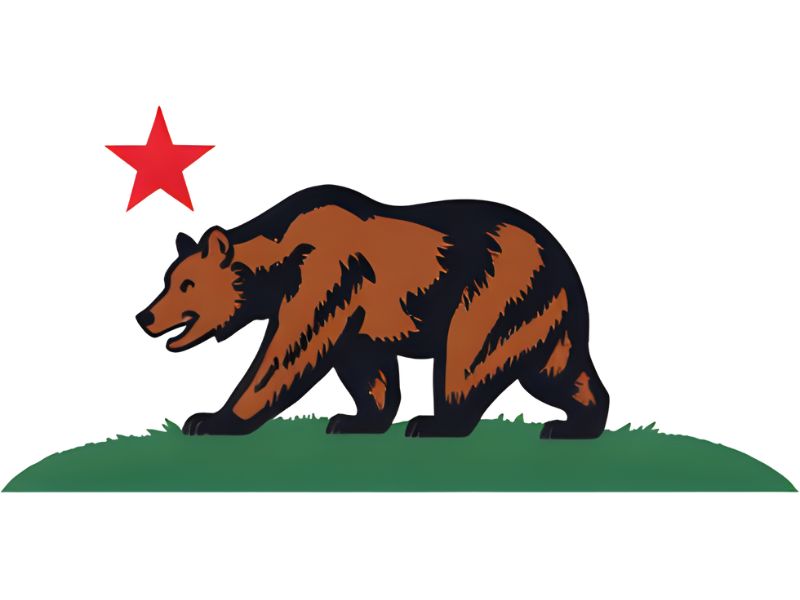 California Flag Emoji Meaning And Copy Guide 1 California Flag Emoji Meaning And Copy Guide