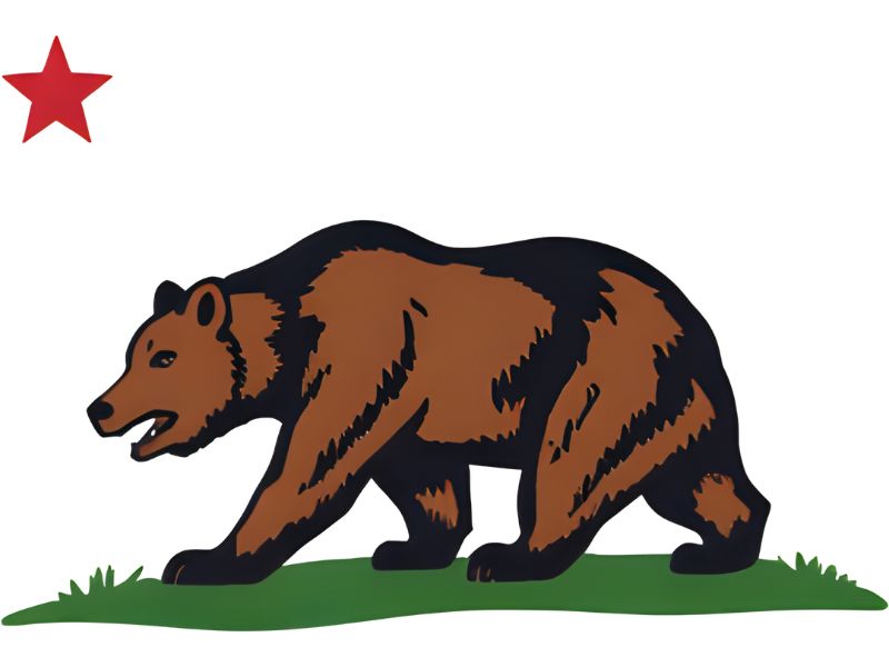 California Flag Emoji Meaning And Copy Guide 4 Tips For Using The California Flag Emoji Effectively